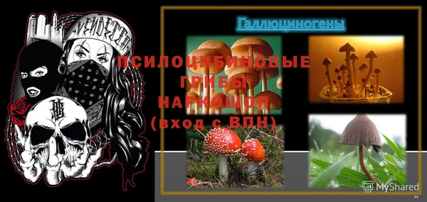 дурь Абинск