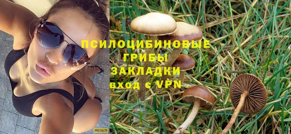 ешки Абаза