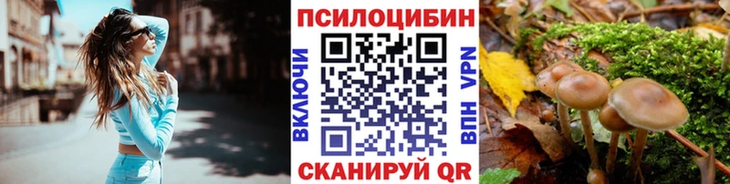Псилоцибиновые грибы MAGIC MUSHROOMS  Эртиль 