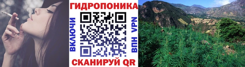 Конопля индика  купить наркотики цена  Эртиль 